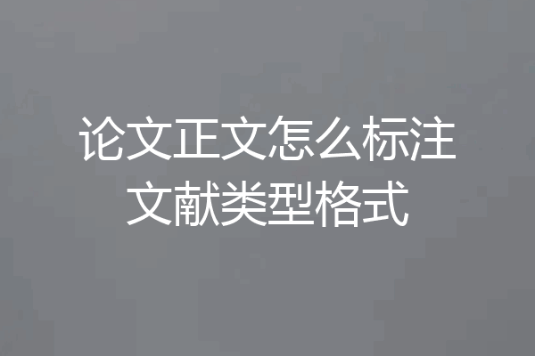论文正文怎么标注文献类型格式