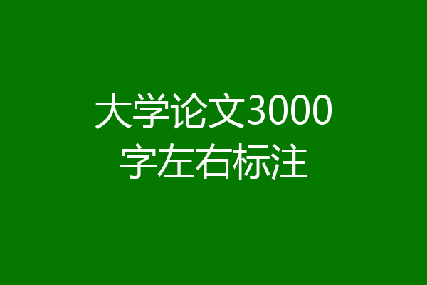 大学论文3000字左右标注
