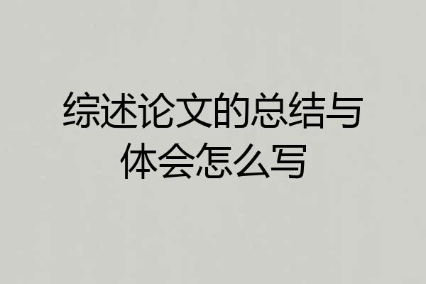 综述论文的总结与体会怎么写