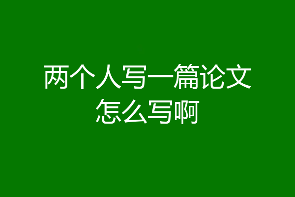 两个人写一篇论文怎么写啊