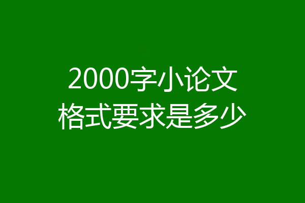 2000字小论文格式要求是多少