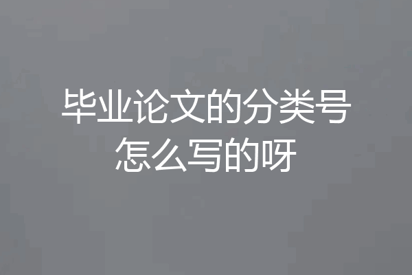 毕业论文的分类号怎么写的呀