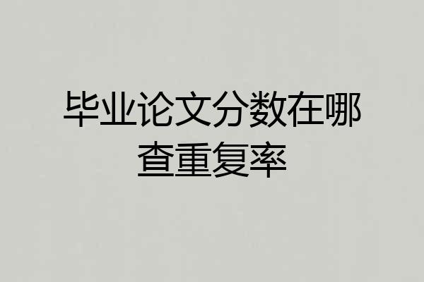 毕业论文分数在哪查重复率