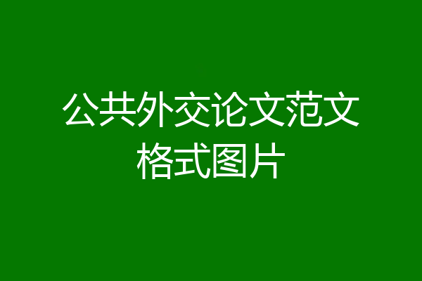 公共外交论文范文格式图片
