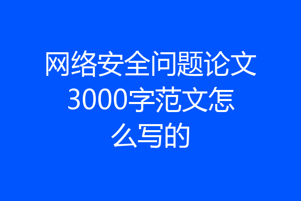 网络安全问题论文3000字范文怎么写的