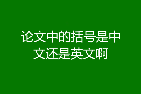 论文中的括号是中文还是英文啊