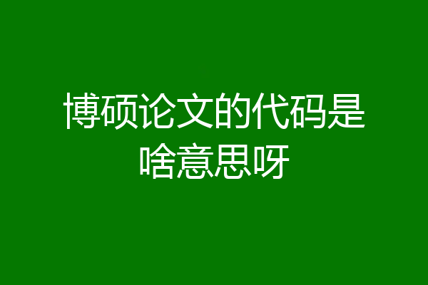 博硕论文的代码是啥意思呀
