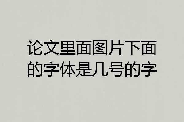 论文里面图片下面的字体是几号的字