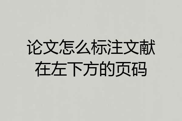 论文怎么标注文献在左下方的页码