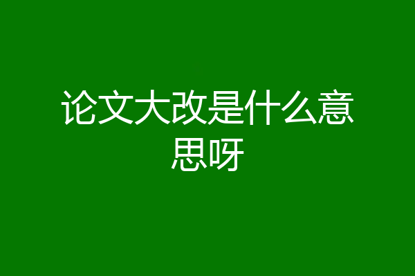 论文大改是什么意思呀