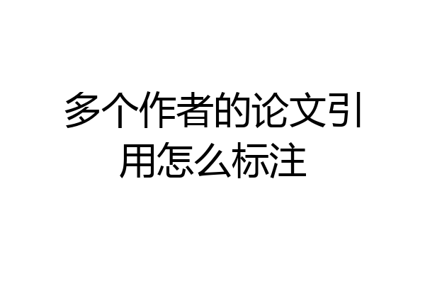 多个作者的论文引用怎么标注