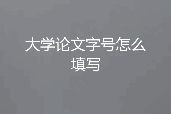大学论文字号怎么填写