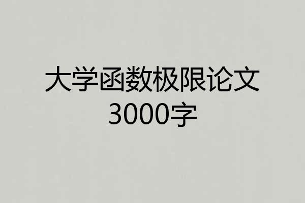大学函数极限论文3000字