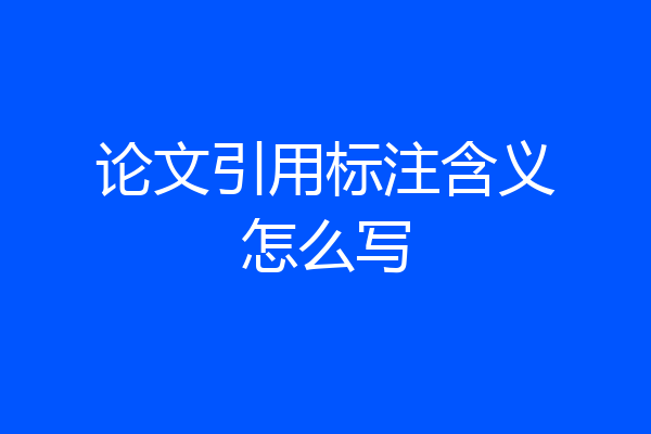 论文引用标注含义怎么写