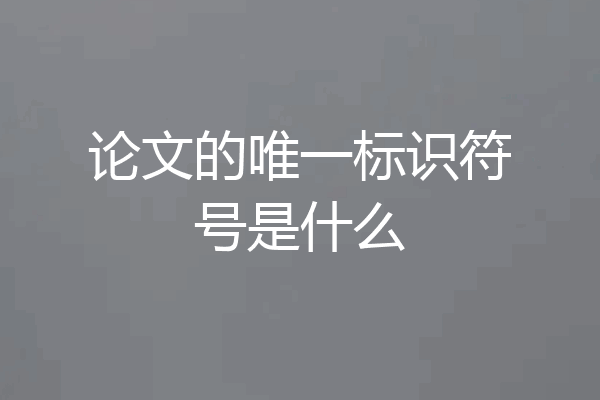 论文的唯一标识符号是什么
