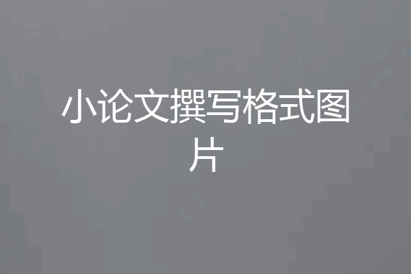 小论文撰写格式图片