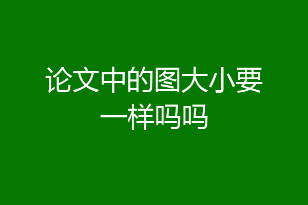 论文中的图大小要一样吗吗