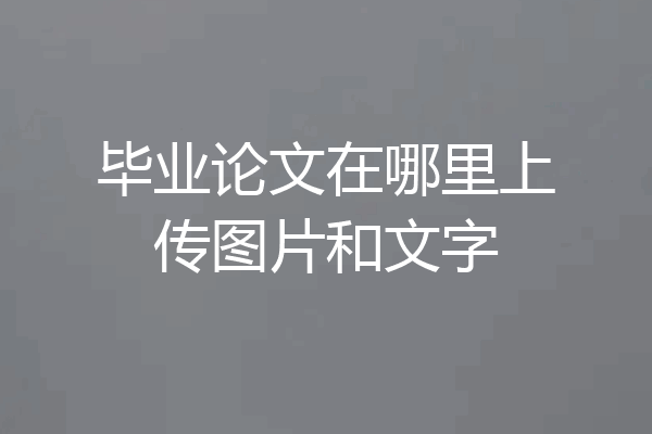 毕业论文在哪里上传图片和文字