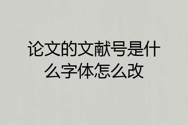 论文的文献号是什么字体怎么改