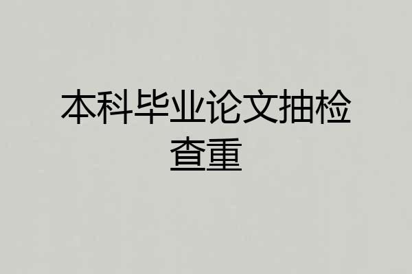本科毕业论文抽检查重