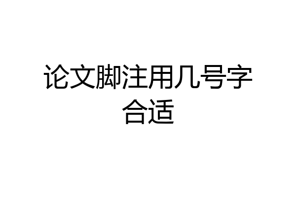 论文脚注用几号字合适