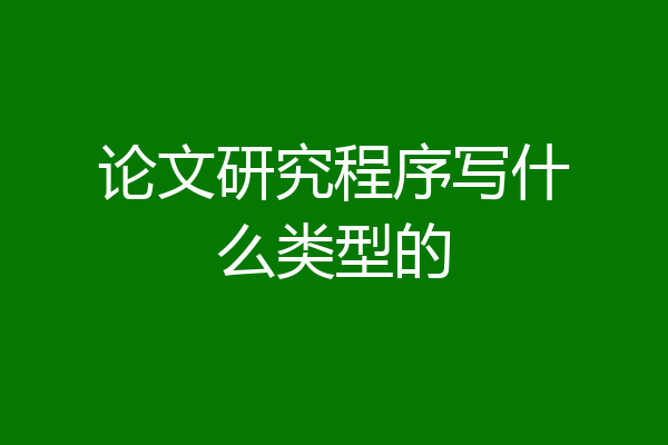 论文研究程序写什么类型的
