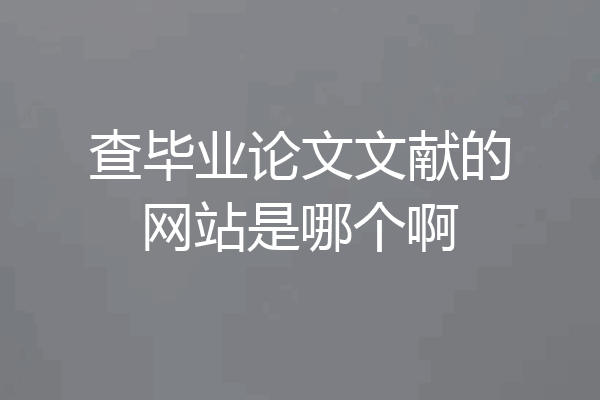 查毕业论文文献的网站是哪个啊