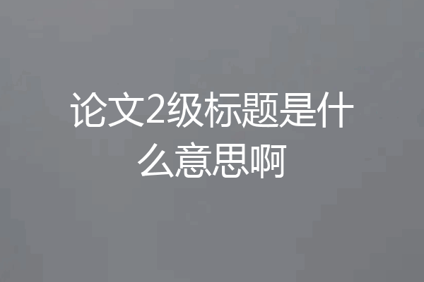 论文2级标题是什么意思啊