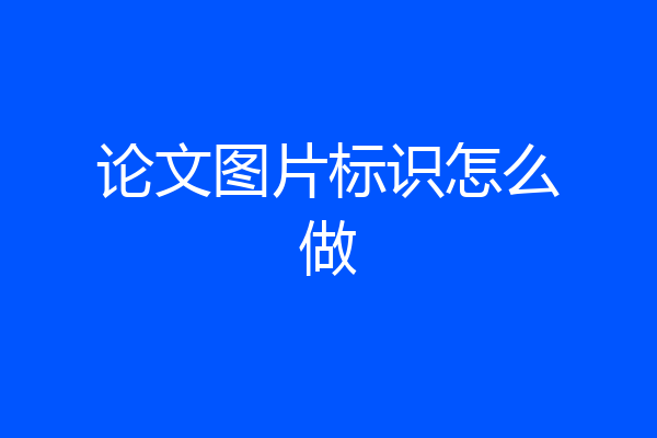 论文图片标识怎么做
