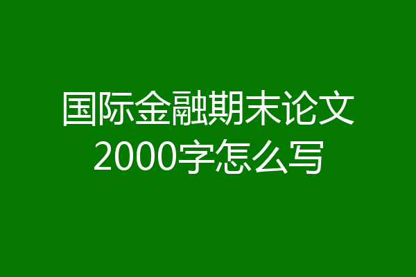 国际金融期末论文2000字怎么写