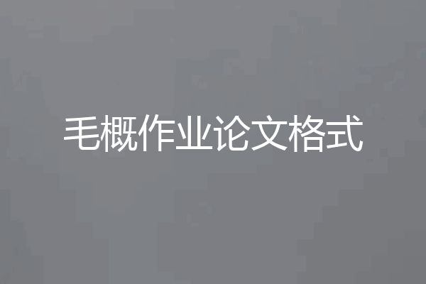 毛概作业论文格式
