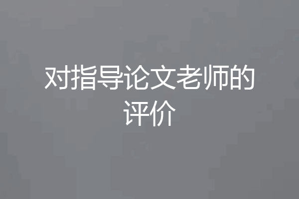 对指导论文老师的评价