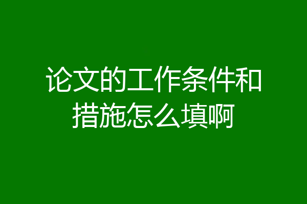 论文的工作条件和措施怎么填啊