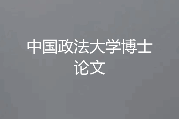 中国政法大学博士论文