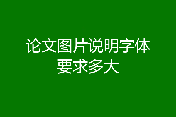 论文图片说明字体要求多大