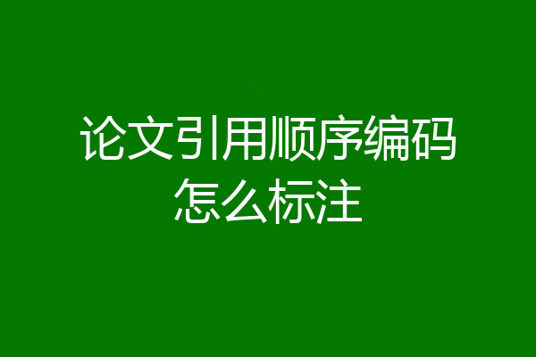 论文引用顺序编码怎么标注