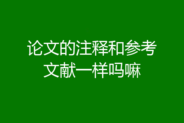 论文的注释和参考文献一样吗嘛