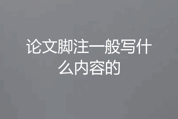 论文脚注一般写什么内容的