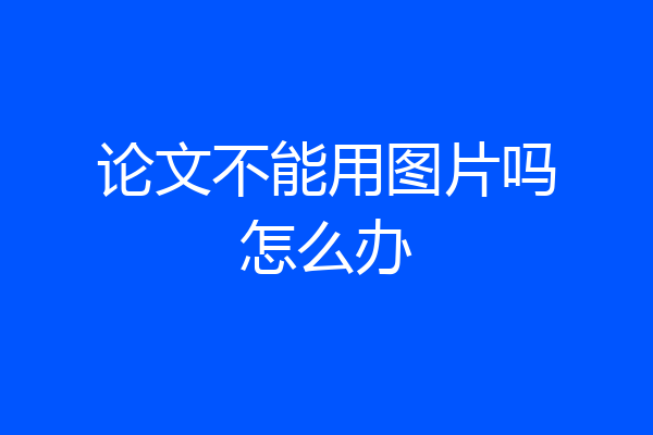 论文不能用图片吗怎么办