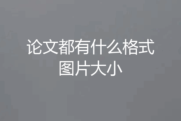 论文都有什么格式图片大小