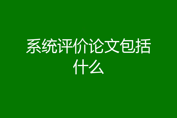 系统评价论文包括什么
