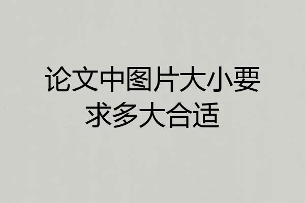 论文中图片大小要求多大合适