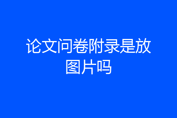 论文问卷附录是放图片吗