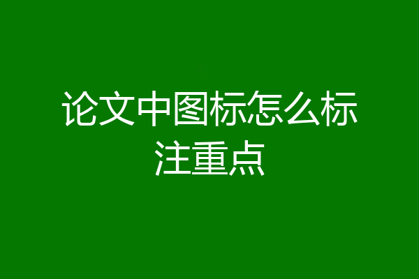 论文中图标怎么标注重点