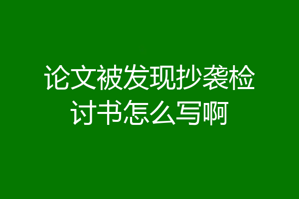 论文被发现抄袭检讨书怎么写啊