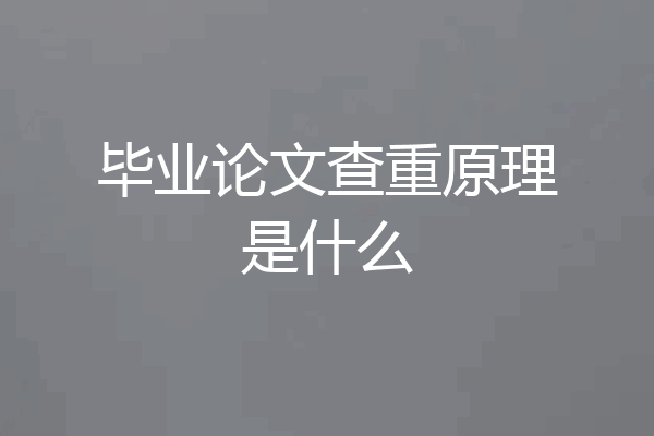 毕业论文查重原理是什么