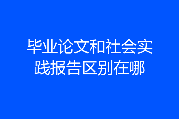 毕业论文和社会实践报告区别在哪