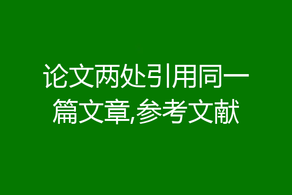 论文两处引用同一篇文章,参考文献
