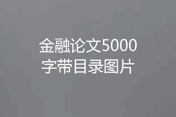金融论文5000字带目录图片