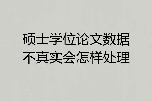硕士学位论文数据不真实会怎样处理